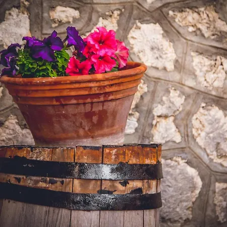 Tatil Evi Traditional Xenofon Drymon